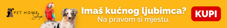 DDL naslovna
